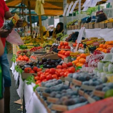 Slow Food - Mercatini della terra 2