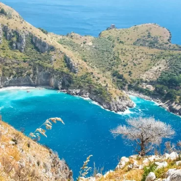 panorama-punta-campanella